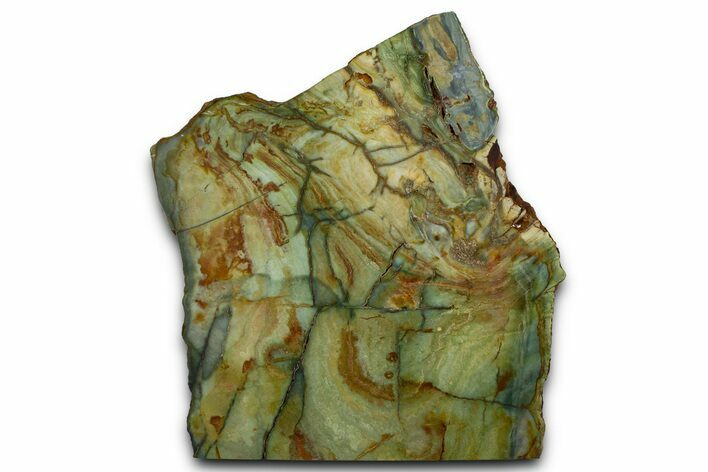 Gary Green Jasper (Larsonite) Bog Wood Slab - Oregon #371002